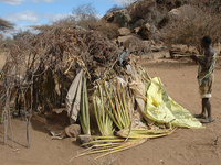 6 Days Visit Bushmen in Lake Eyasi - Midrange