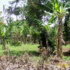 Busia Busia