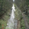 Barnsley Canal Barnsley Canal