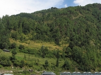 Barot