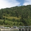 Barot Barot