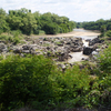 Benoue National Park