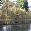 National Botanic Gardens