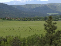 Beulah Beulah