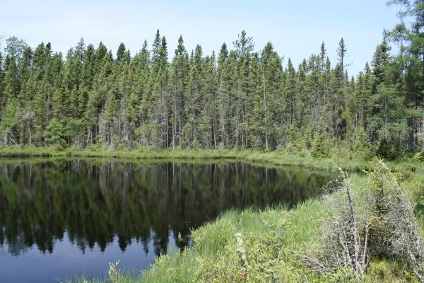 Chequamegon Nicolet National Forest, United States Photos