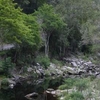 Bloukrans Pass