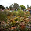 Kings Park Kings Park