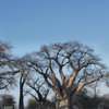 Nxai Pan National Park