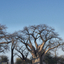 Nxai Pan National Park Nxai Pan National Park