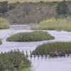 Bontebok National Park
