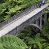 Bridge to Nowhere