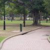 Burwood