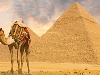 Egypt Egypt
