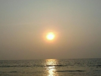 Calicut Calicut
