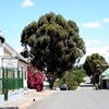 Calitzdorp