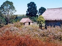 Ratanakiri