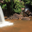 Kbal Chhay
