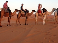 Imperial City And Desert Tours