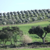 Alentejo Alentejo