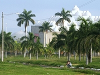 Managua