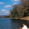 Cauvery Wildlife Sanctuary Cauvery Wildlife Sanctuary
