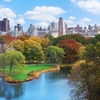 Central Park Central Park