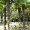 Century Park