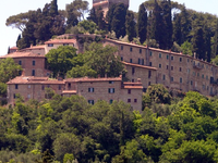 Cetona Cetona