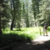Champion Lodgepole Trail 1W11 Champion Lodgepole Trail 1W11