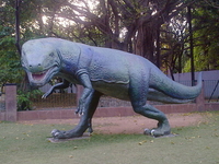 Children’s Park