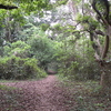 Chintamani Kar Bird Sanctuary