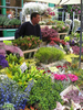 Columbia Road Flowers