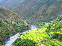 Rice Terraces Of Philippine Cordilleras