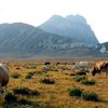 Campo Imperatore Campo Imperatore