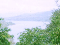 Koyna Wildlife Sanctuary