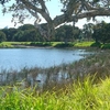 Centennial Park