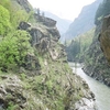 Pangi