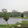 Chetput Lake Chetput Lake