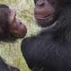 Kibale National Park