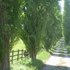 College Farm College Farm
