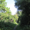 Coppett's Wood and Scrublands Coppett's Wood and Scrublands