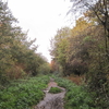 Copthall Railway Walk Copthall Railway Walk