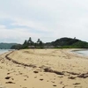 Cotivas Island