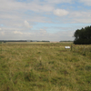 Stonehenge Landscape