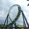 Dragon Fire Roller Coaster Dragon Fire Roller Coaster