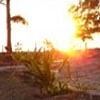 Dahanu Bordi Beach Dahanu Bordi Beach