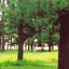 Da Lat