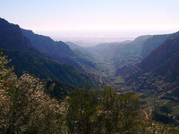 Dana Biosphere Reserve
