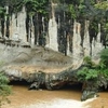 Dandeli Dandeli