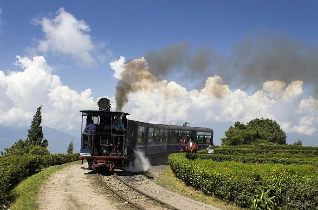 Hill Station Packages Tours In Gangtok Touristlink Εικόνα του hotel babumashai, γκανγκτόκ: touristlink